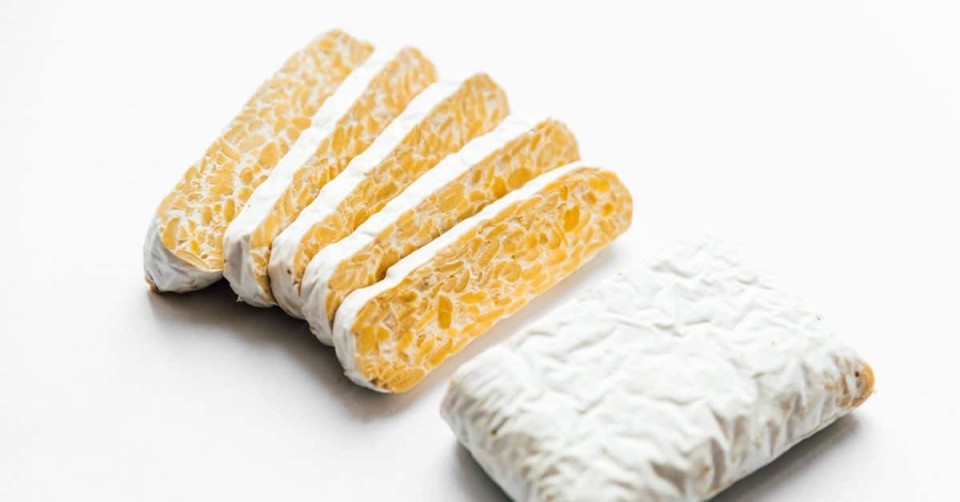 템페 200g 5팩 TEMPEH 콩 발효식품 채식푸드 식물성단백질 : 긍정샵