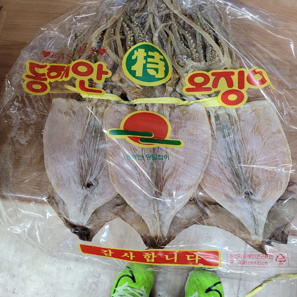 동해안 마른 오징어 50년전통 강릉 당일바리 건오징어 (10미) : 동원건어물