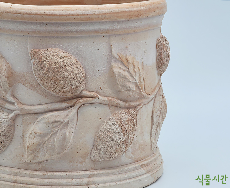 olu handmade clay pot 이태리 레몬 열매 장식 수제 토분 원형 올리브 화분 : 식물시간