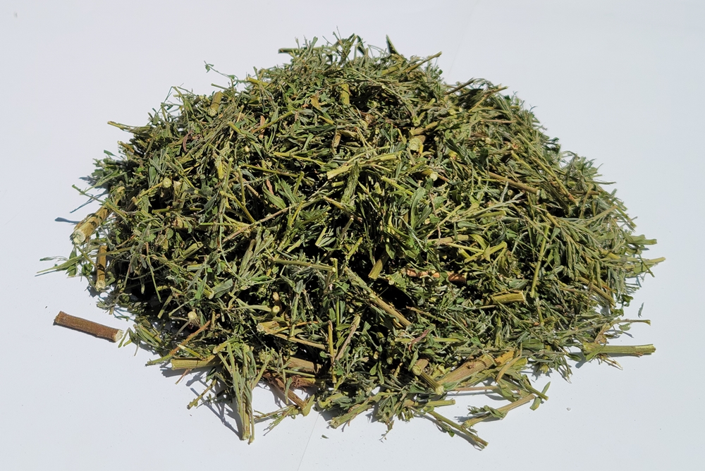제천약초판매협동조합 국내산 야관문(비수리) 3kg : 제천약초판매협동조합법인