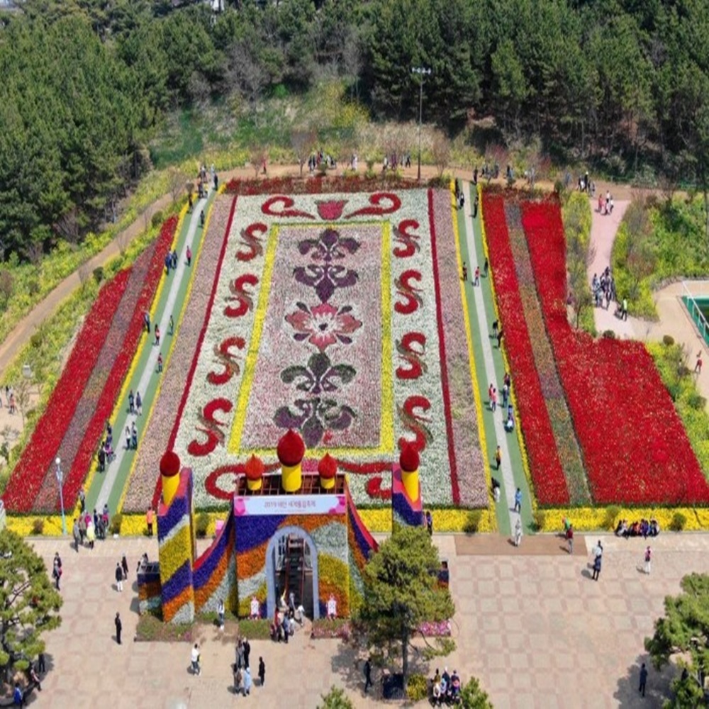부산 울산 경주 출발 서해금빛열차 태안 튤립 축제&꽃지 해변&보령 해저터널&대천 해수욕장&안면도 자연 휴양림  코레일  기차  열차 여행 국내... 