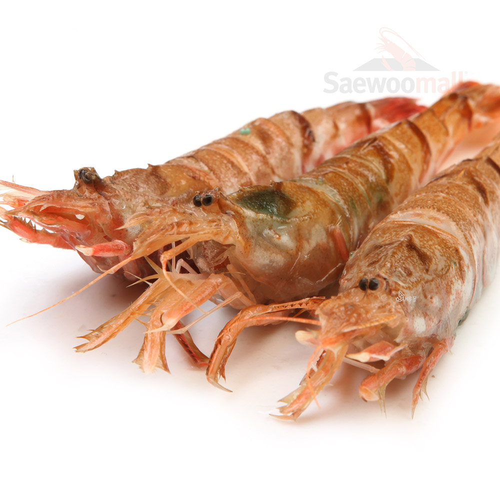 동해 보리새우 1kg 횟감 샤브 가시진흙새우 생 새우회 : 새우몰