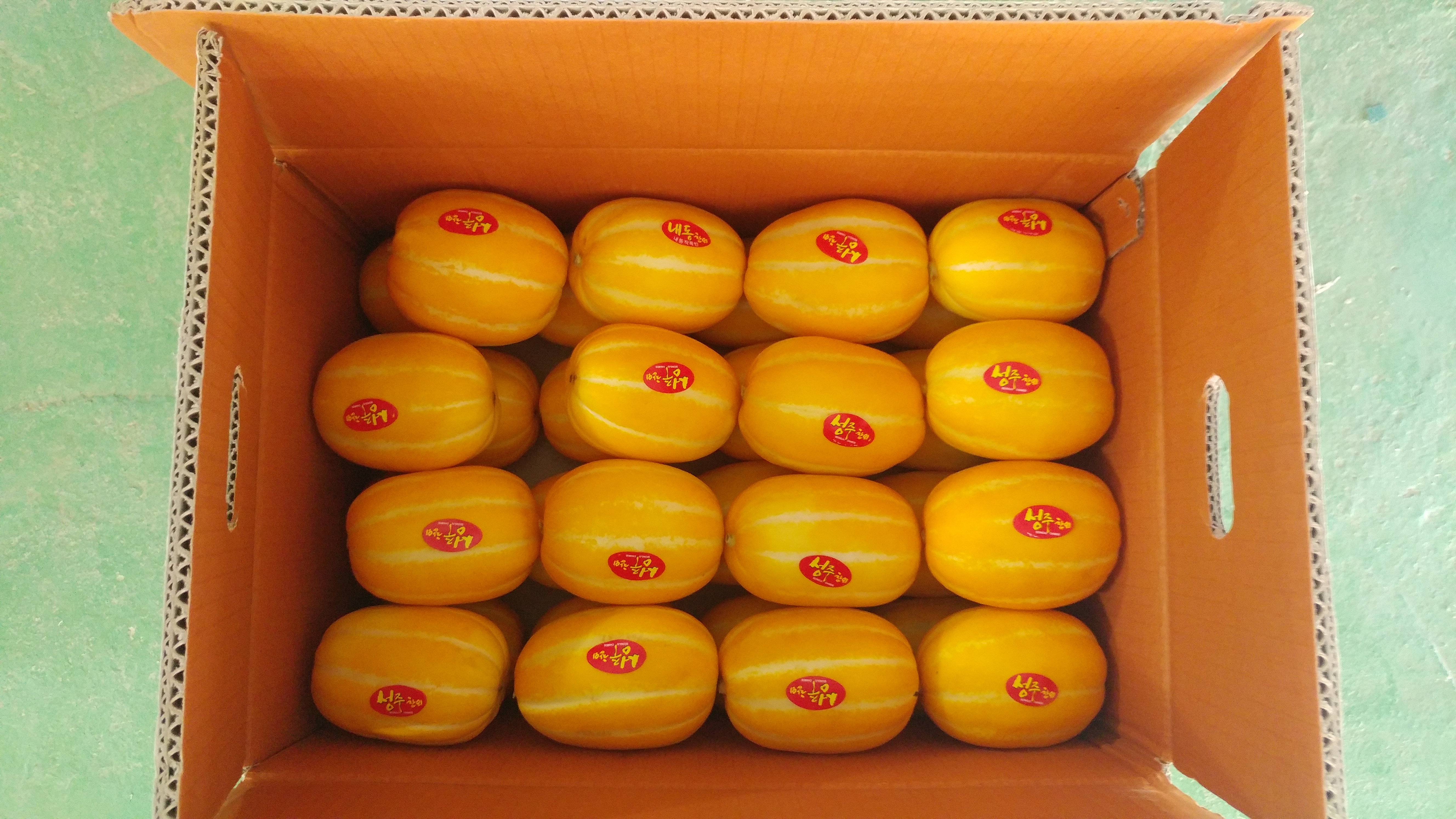 참외 성주참외 산지직송 고당도 꿀참외 3kg 5kg : 성주 참외향기