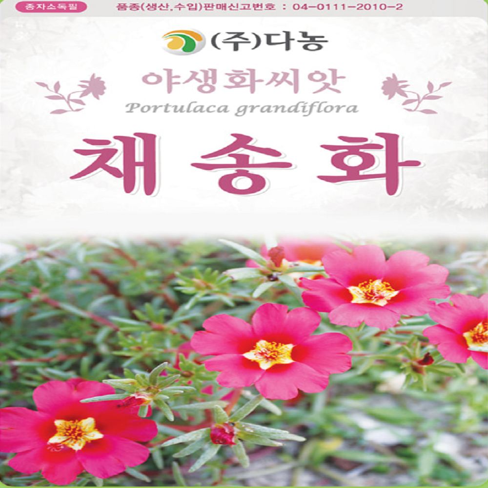 채송화 채송화꽃 씨 씨앗 종자 1g : 모두다팜 농자재