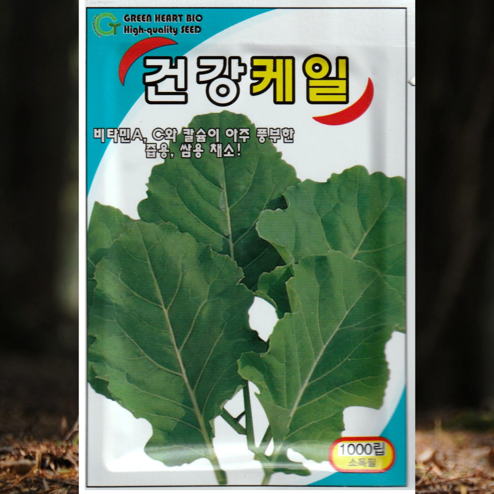  건강케일 씨앗 1000립 : 씨앗코리아
