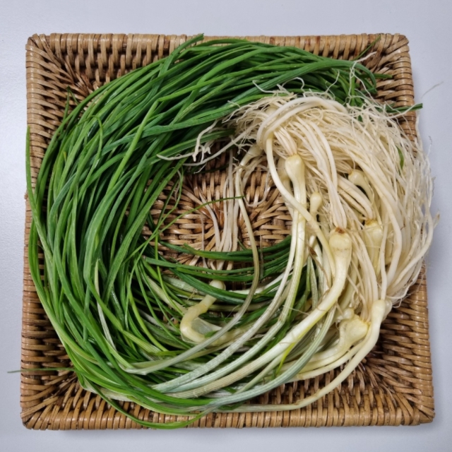 통영 비진도 노지 세척 달래  200g 500g 곱창김 봄나물 제철 농산물 달래장 : 더맛봄