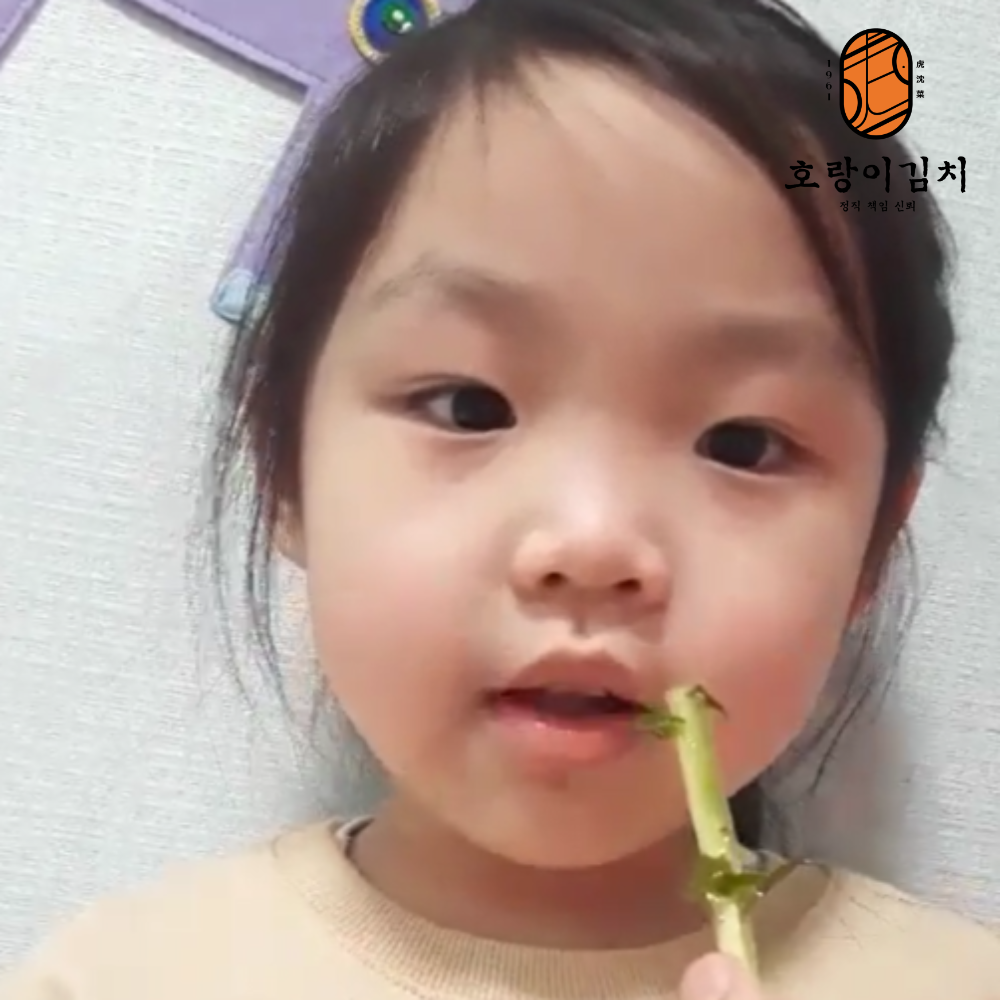 [호랑이김치] 얼갈이 열무김치 10kg : 호랑이장터 농업회사법인