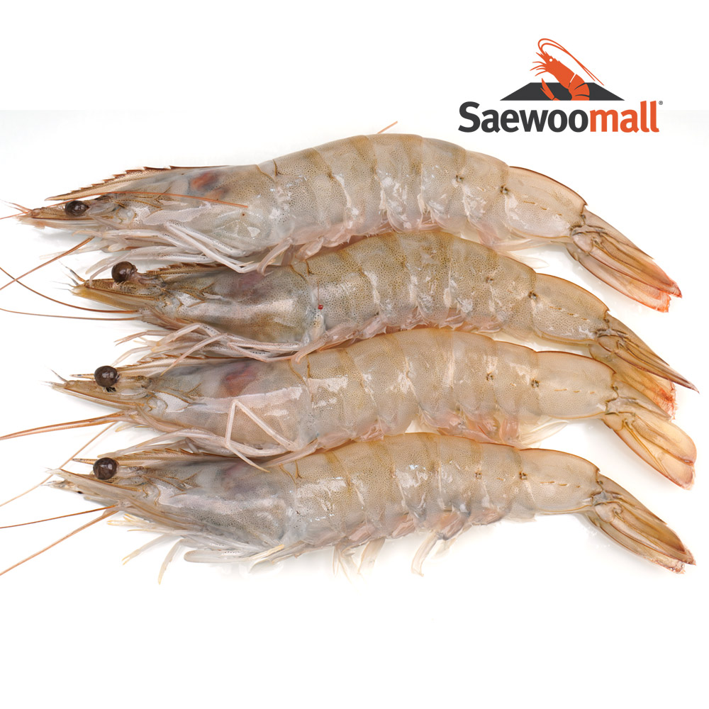 왕새우 2kg 선물용 화이트새우 홍새우 붉은새우 : 새우몰