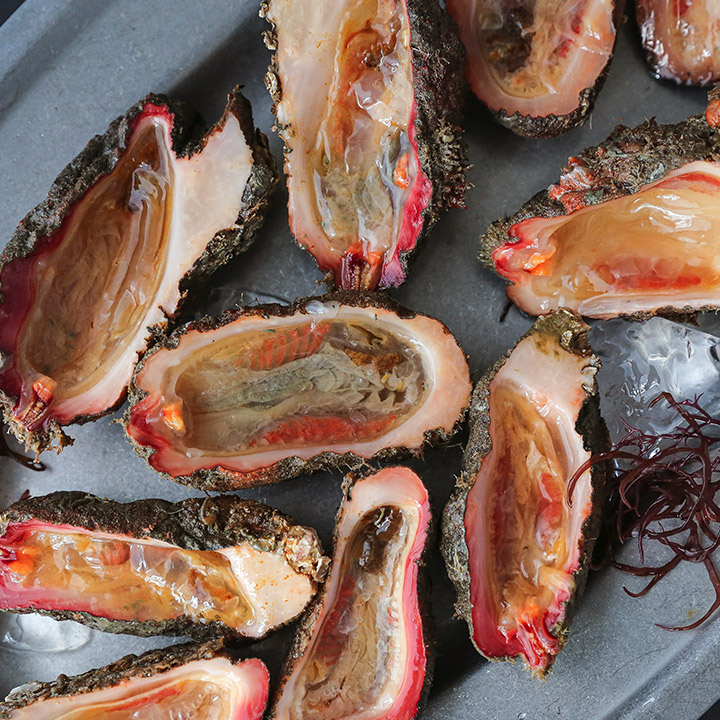 봄 통영 해녀 채취 자연산 돌멍게 1kg 제철 : 맛꾼푸드