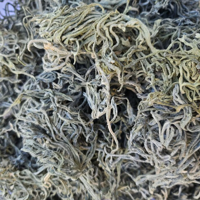 완도 A급 건 청각 마른 청각 500g : 달빛바다수산