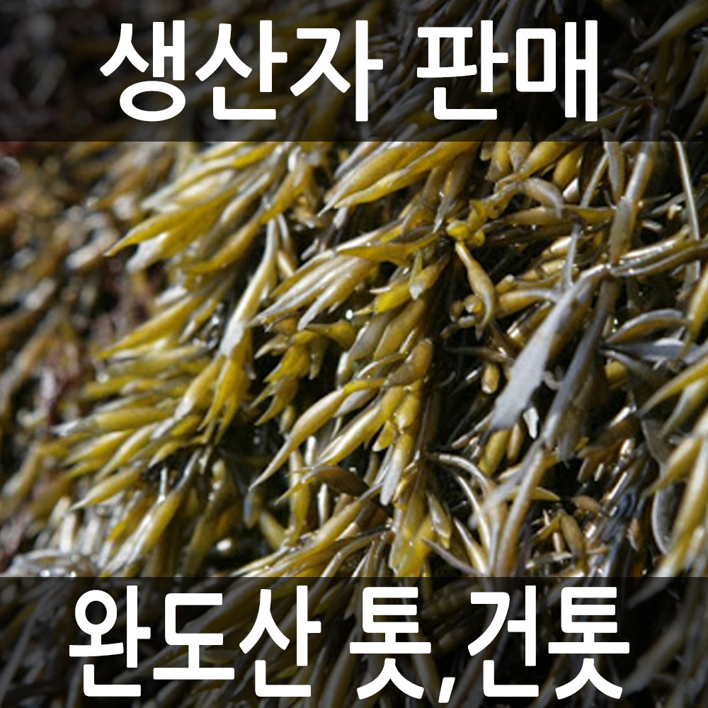 완도산 톳 건톳 500g : 달빛바다수산