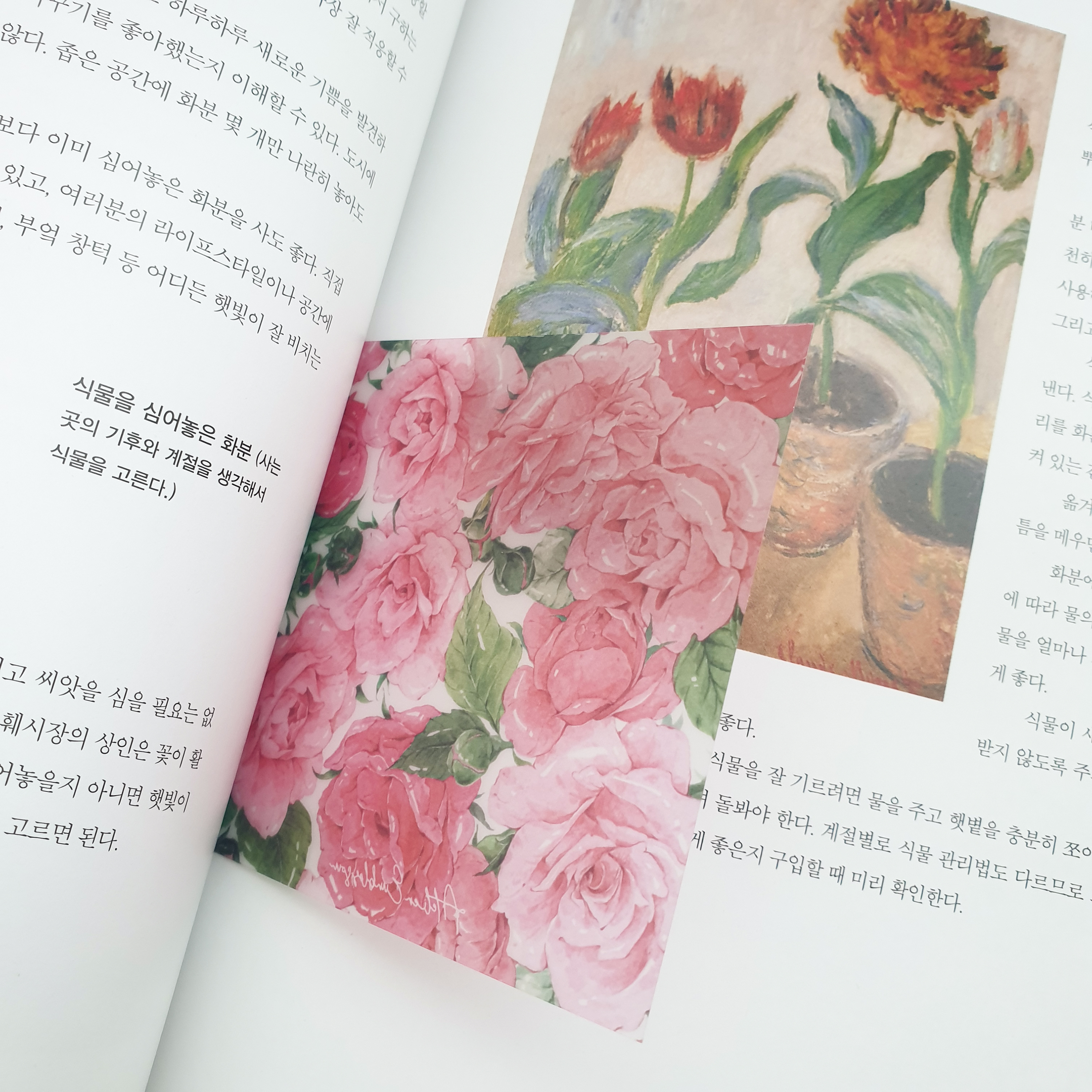 꽃 일러스트 책갈피 / 북마크 / 인테리어소품 : 아뜰리에윤꽃