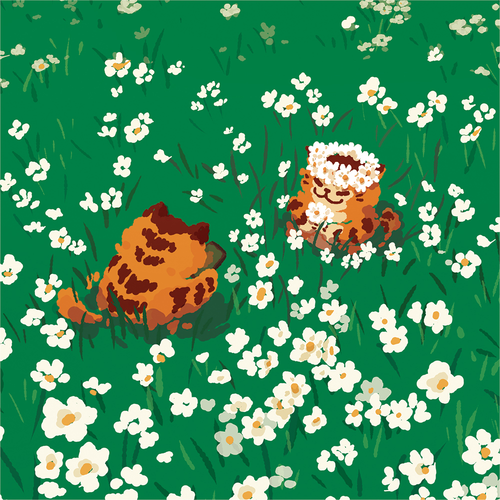 그린 앤 화이트 / 그림 엽서 : 레드웨일