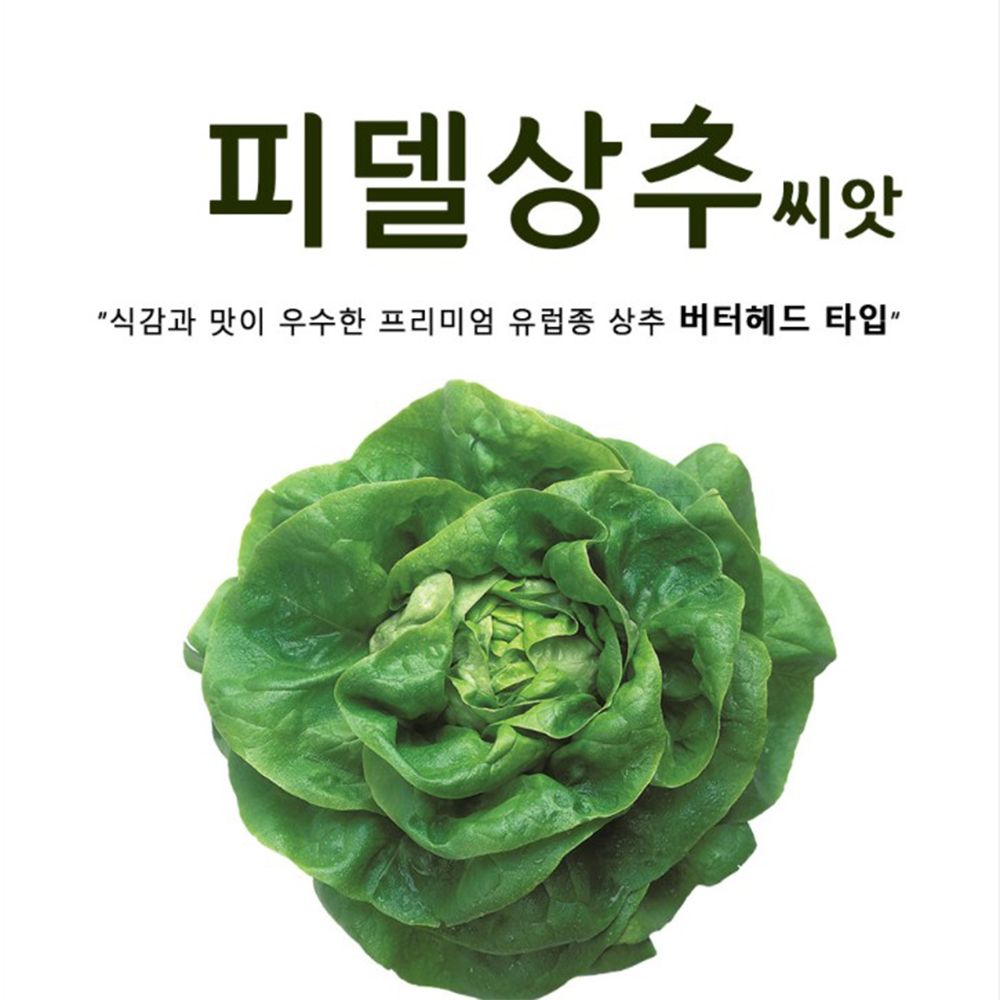피델 유럽 상추씨앗 100립 프리미엄 유럽상추씨 쌈채소 종자 : 씨앗팜