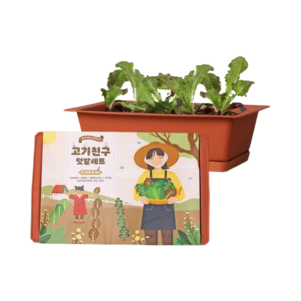 [과학쌤이오] 가족 정원 꾸미기 고기친구 키우기 세트 : 쌤이오