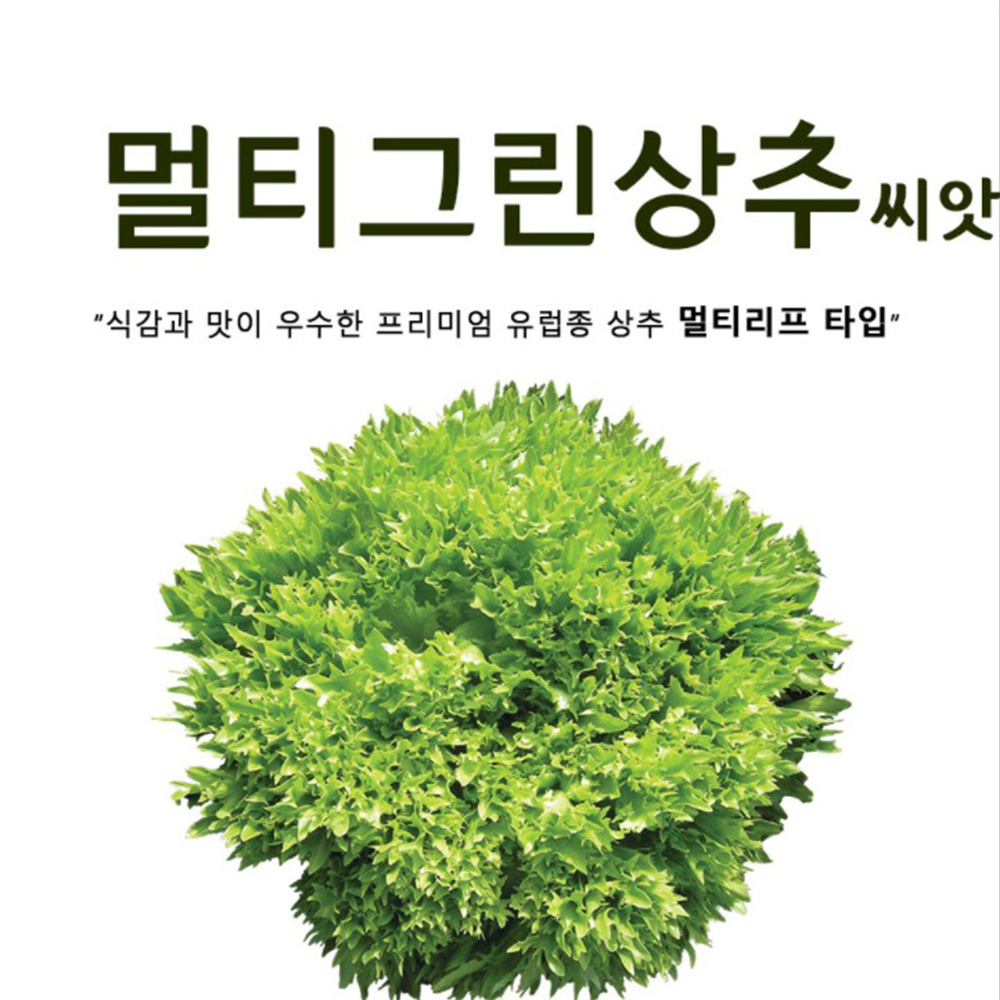 멀티그린 유럽상추씨앗 100립 프리미엄 쌈채소 유럽상추씨 종자 : 씨앗팜