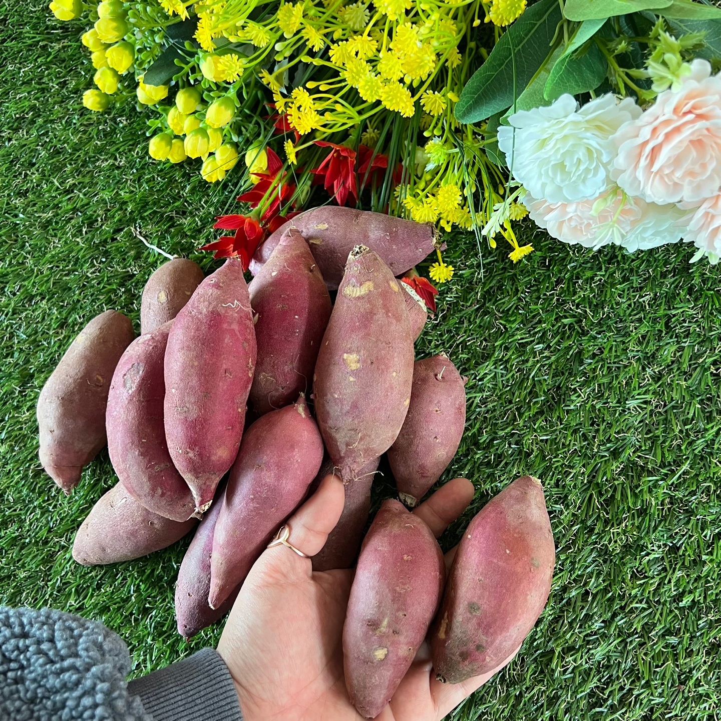 [맛나과일] 명품 영암황토골 꿀달 달콤한 고구마 10KG : 맛나과일집