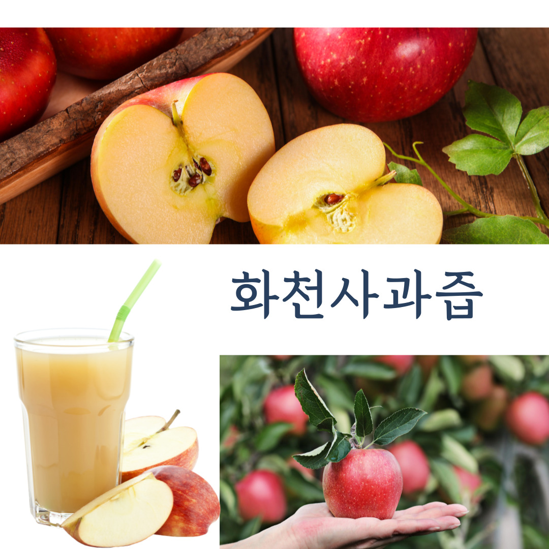 화천사과즙100  화천산사과즙 50포 진선미사과농원 : 화천농부들2023