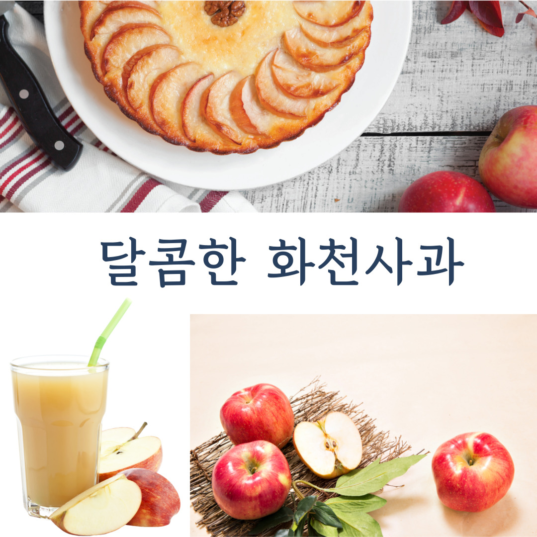 화천사과즙100  화천산사과즙 50포 진선미사과농원 : 화천농부들2023