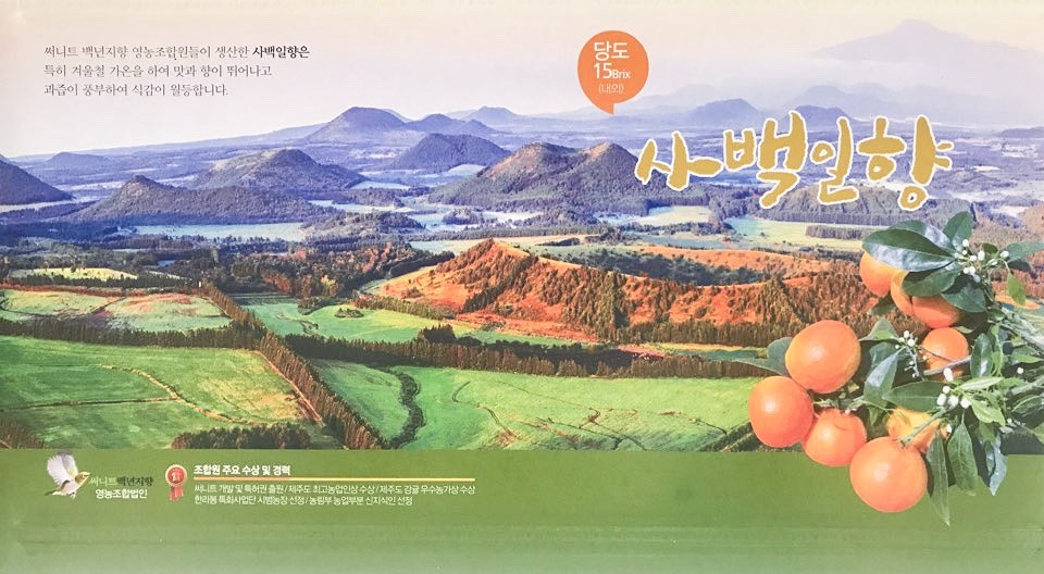 제주 카라향 3kg 5kg 10kg 세진농원 사백일향 직판 가정용 선물용 감귤 : 세진 농원