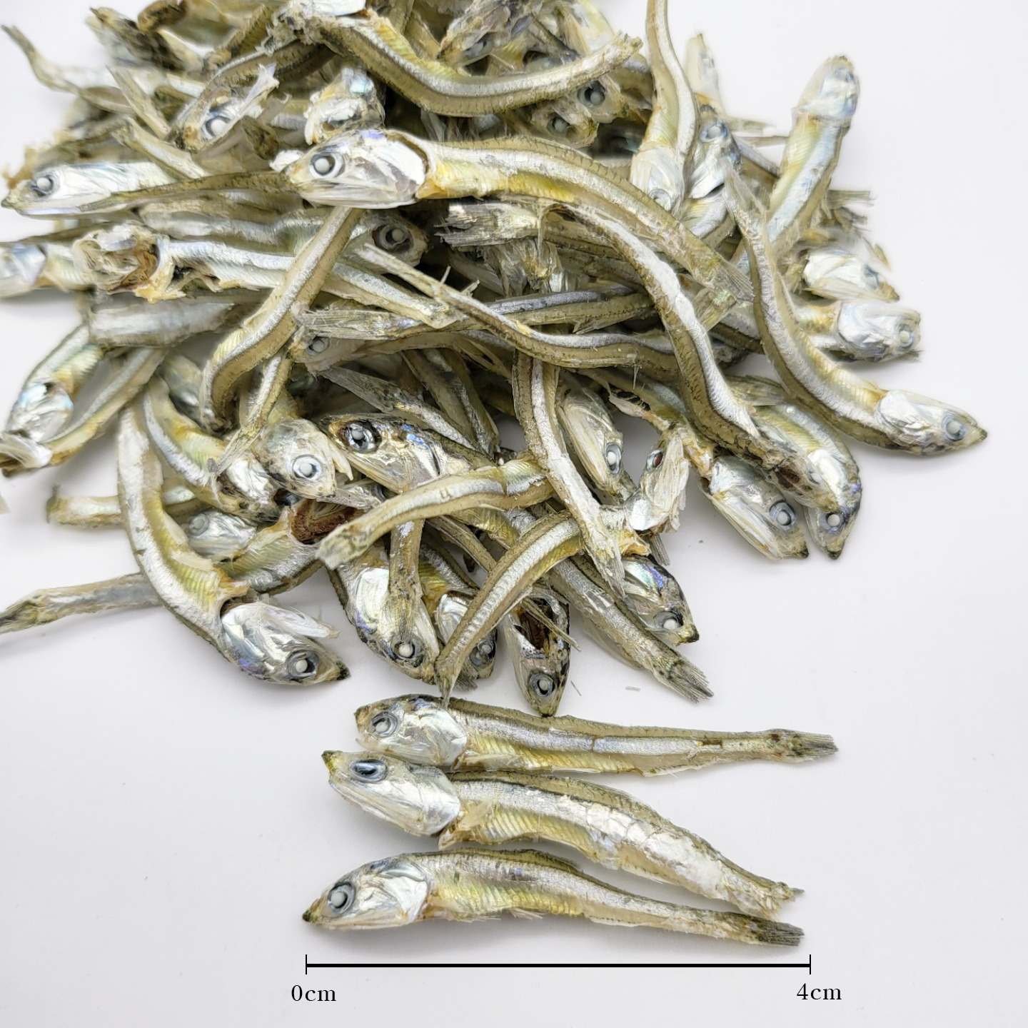 통영멸치 산지직송 볶음 햇 국산 고바 멸치볶음용 중멸치(중급)1.5kg : 통영섬멸치