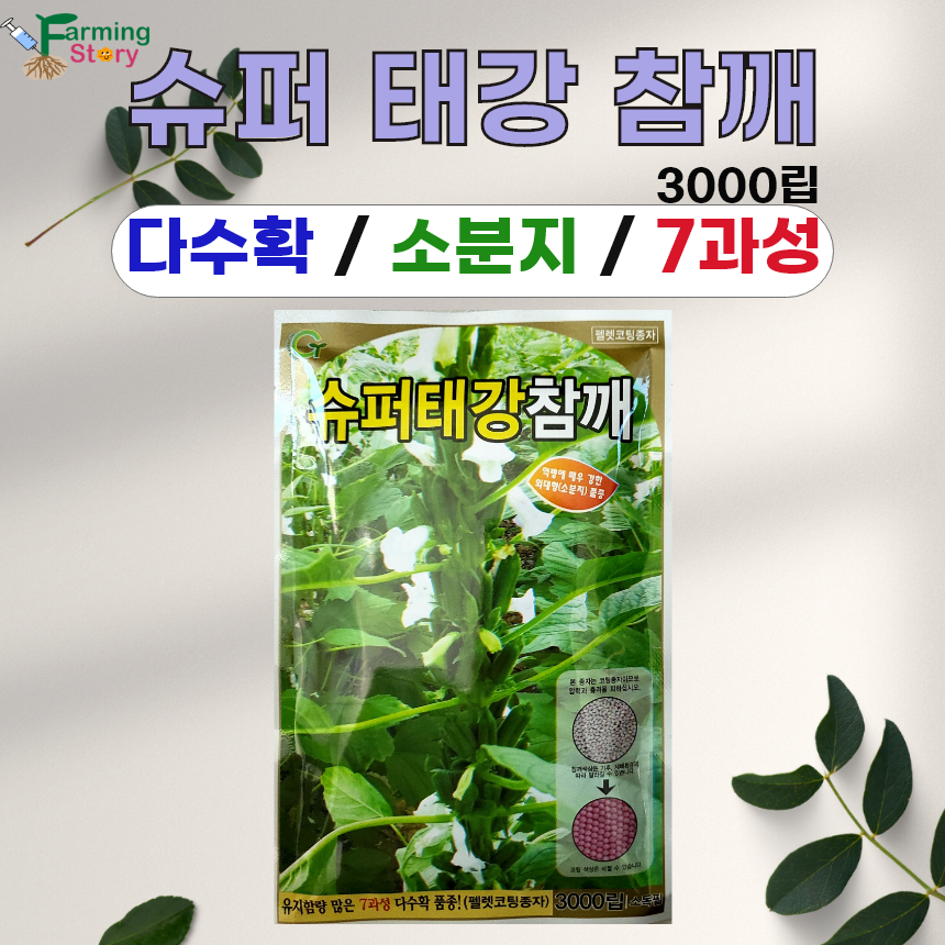 슈퍼태강 참깨 흑깨 씨앗 3000립 그린하트바이오 : 파밍스토리