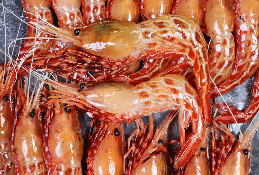 자연산 독도 꽃새우 500g(13-20미 내외) 신선한 꽃새우 산소포장 발송 : 한입두잇