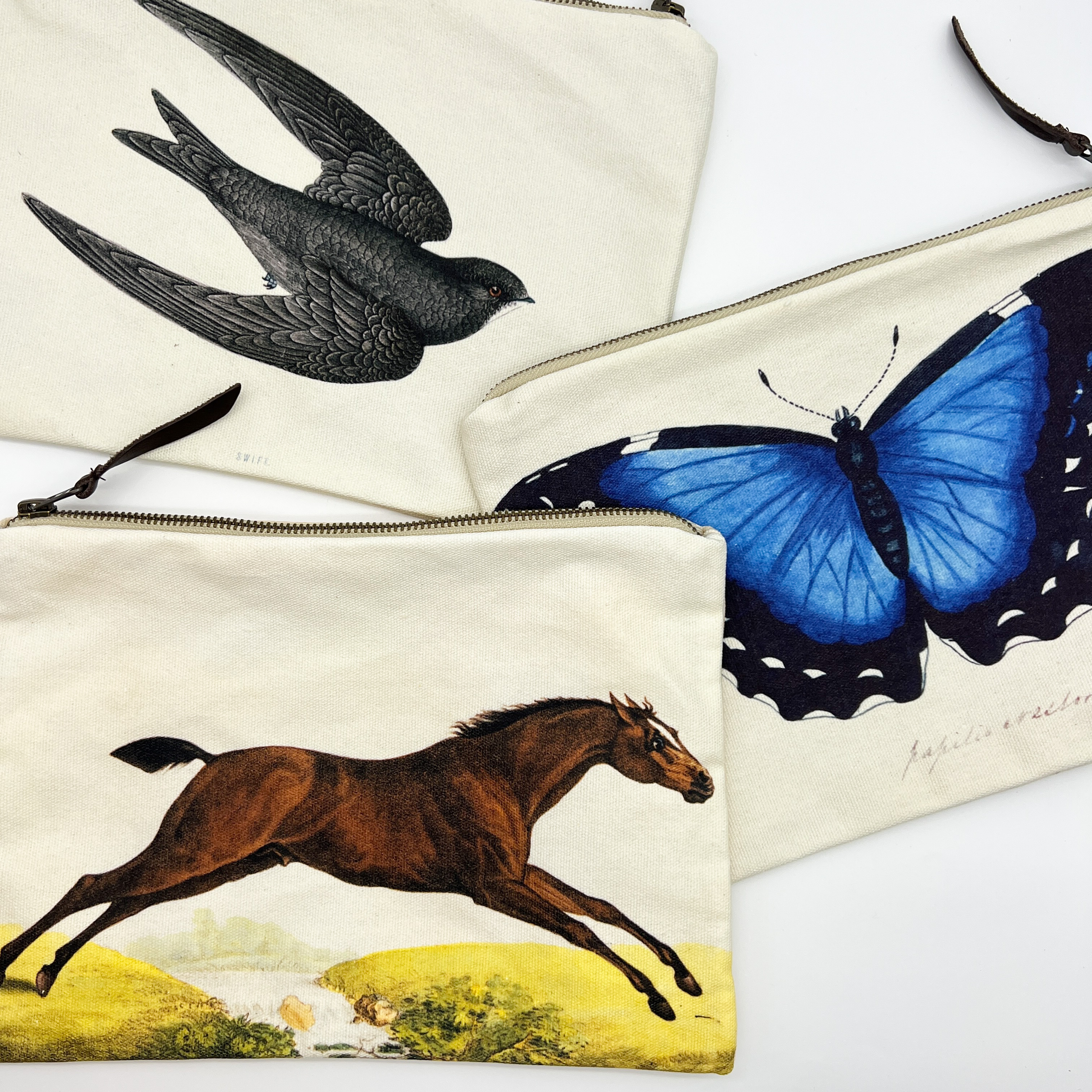 CANVAS POUCH _ SWALLOWS : 꽁떼르씨엘