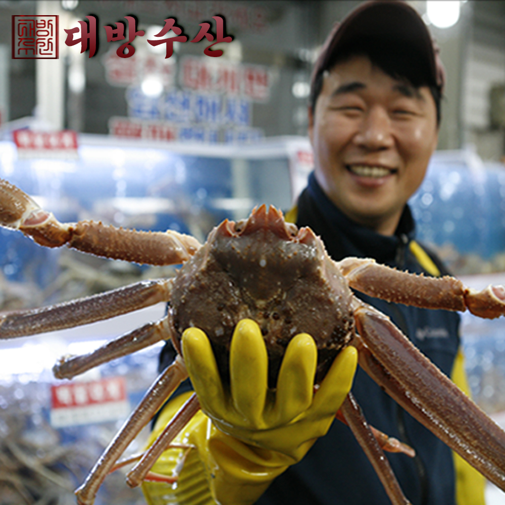 구룡포 국산 제철 박달 대게 홍게 게 다리 수율 90%이상 직송 : 착한대게직판장 대방수산