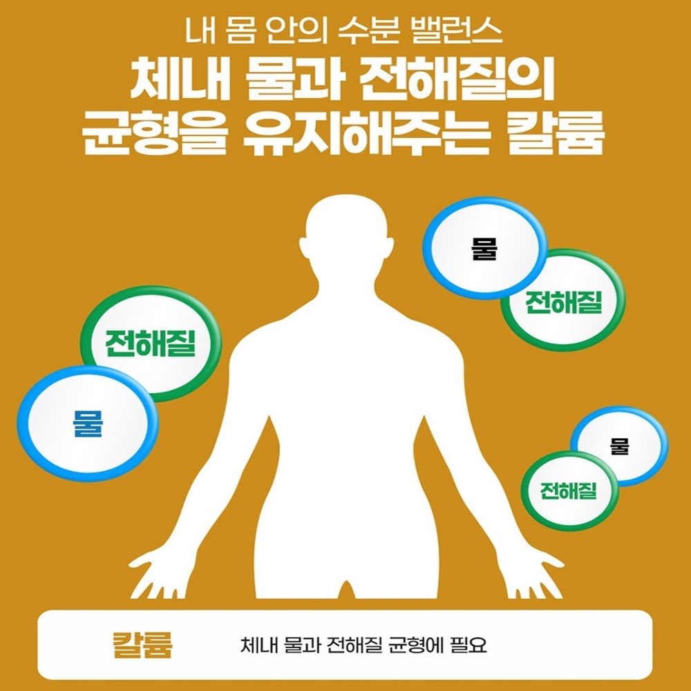 내츄럴플러스 전해질 밸런스 칼륨 : 코리아 건강식품