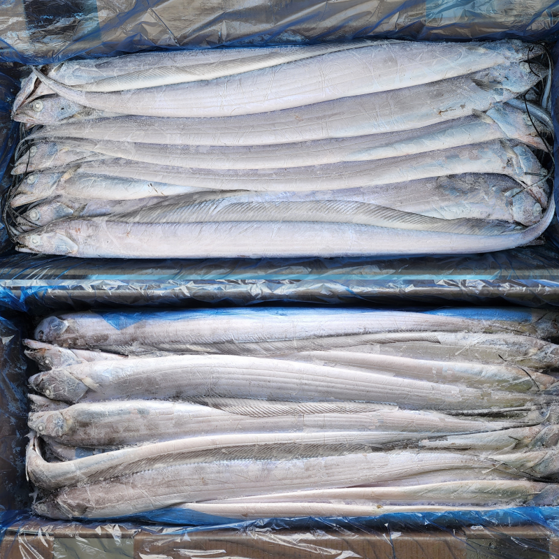 제주산 선동갈치 제주은갈치 냉동갈치 한상자10kg 33미 : 미래청정수산