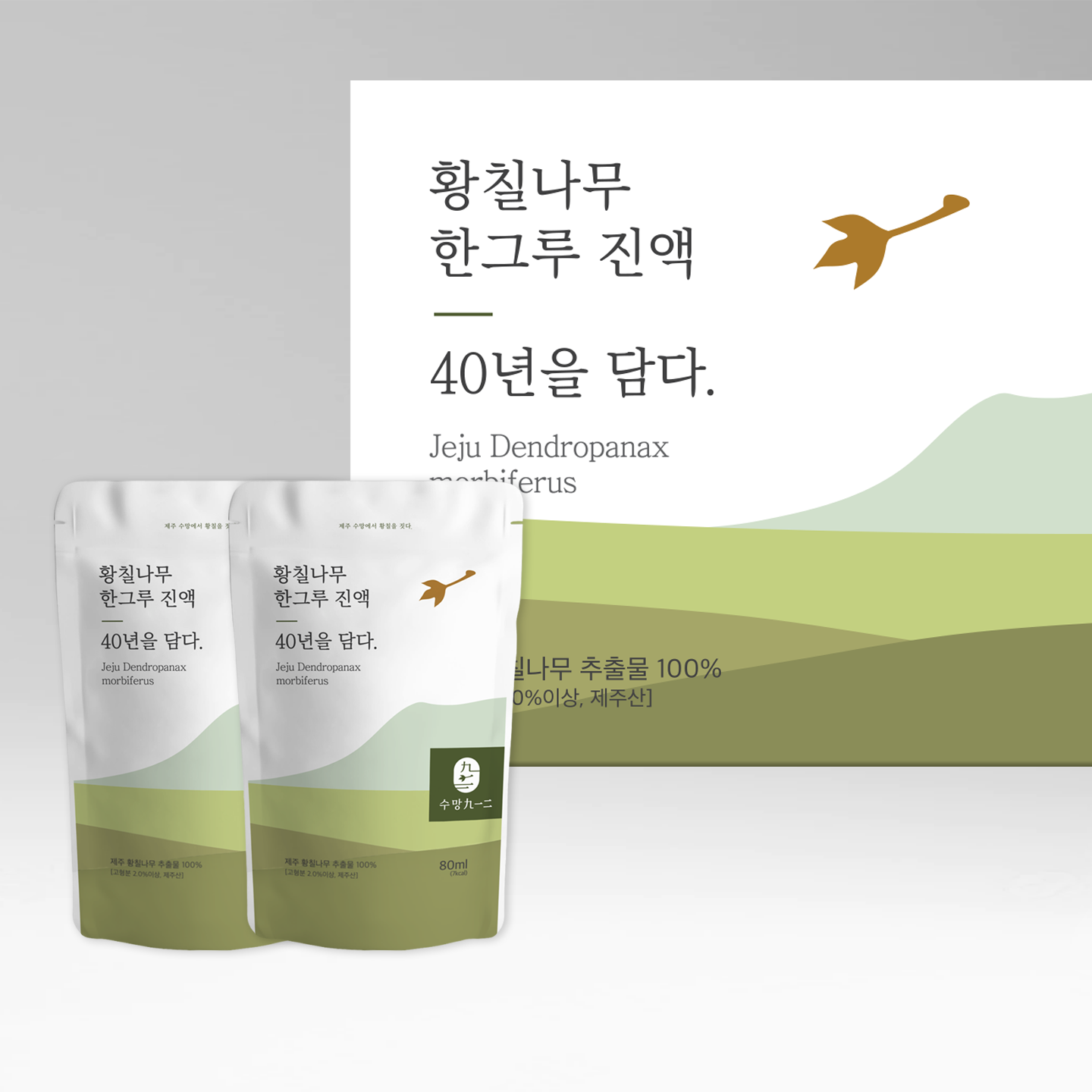 40년 제주 황칠진액 황칠즙 30포 : 수망912
