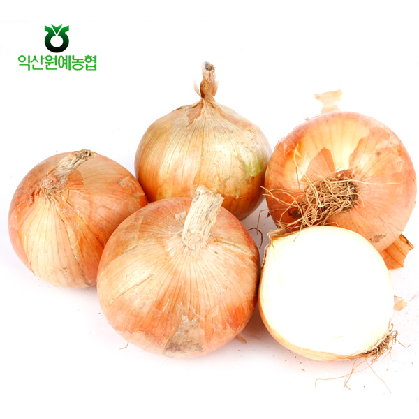 농협공판장 정성드린 신선 양파 5kg(특품) : 예찬닷컴