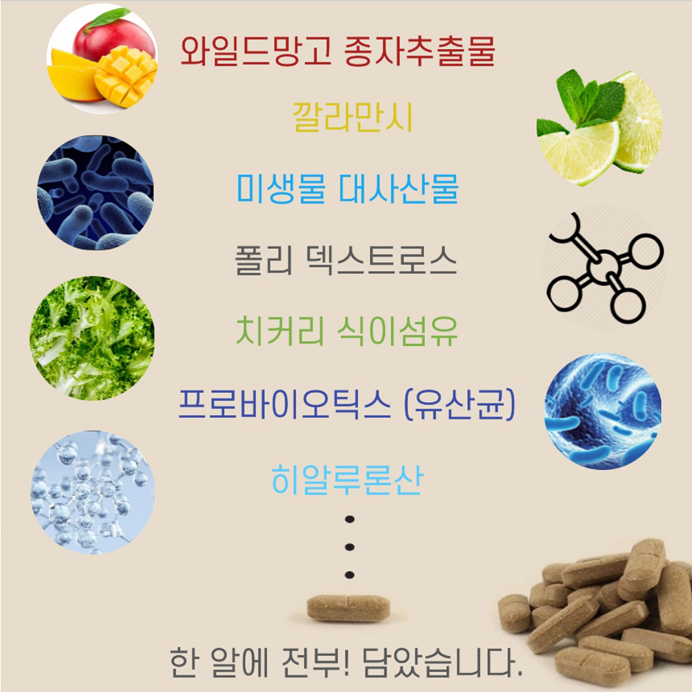 중앙미생물연구소 연구개발 변비해결 썬샤인 : 레인버블