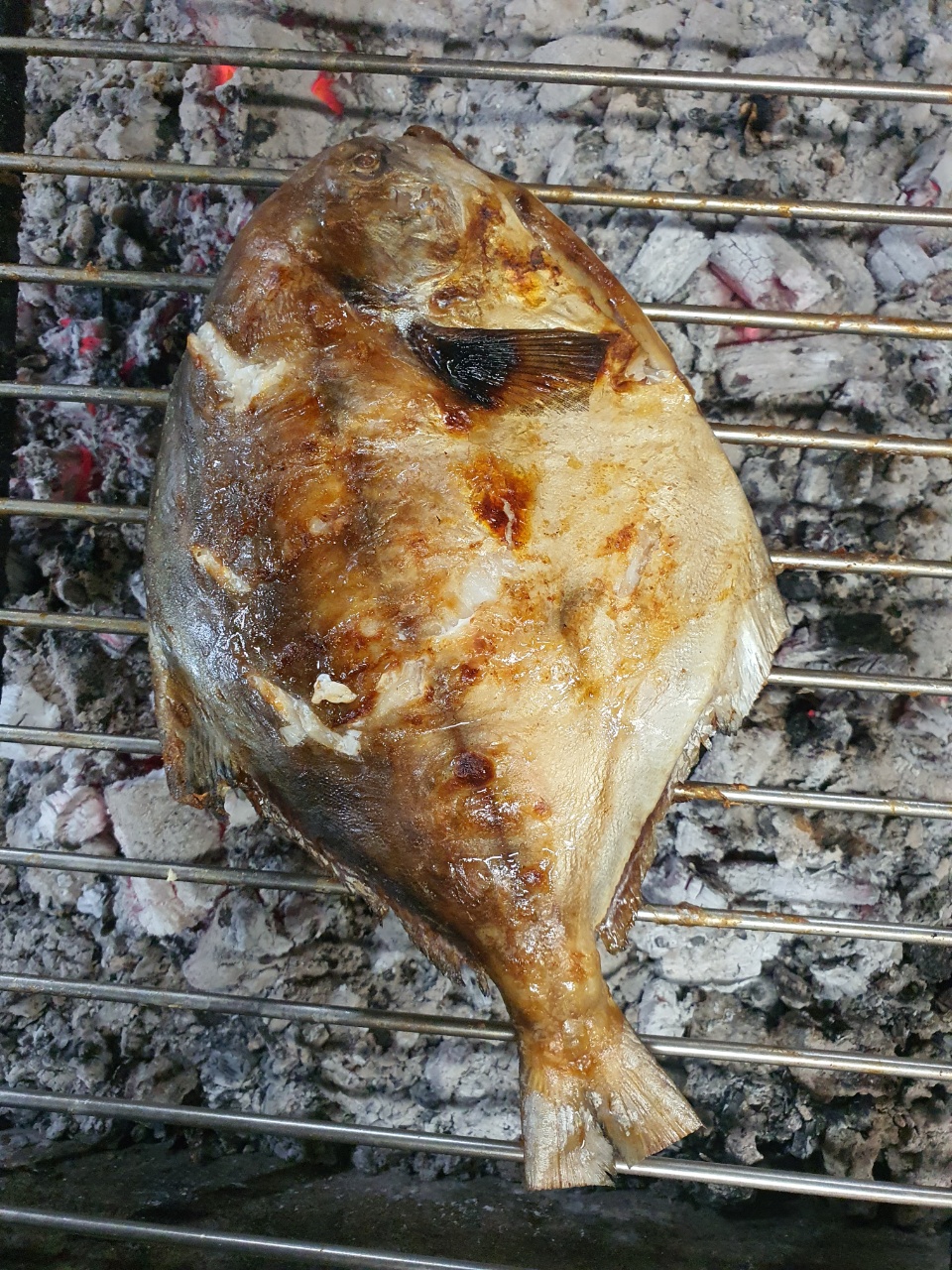 [섬마을어부] 참숯에 구운 병어 국산 흰살생선 상차림생선 반건조 숯불생선구이 제수용 : 고흥숯불생선구이섬마을어부