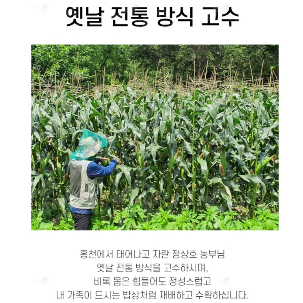 국산잡곡 국내산 수수 쌀 백미 서리태 백태 약콩 들깨 참깨 팥 도토리 혼합 잡곡 쌀 세트 : 맛있는 제철과일