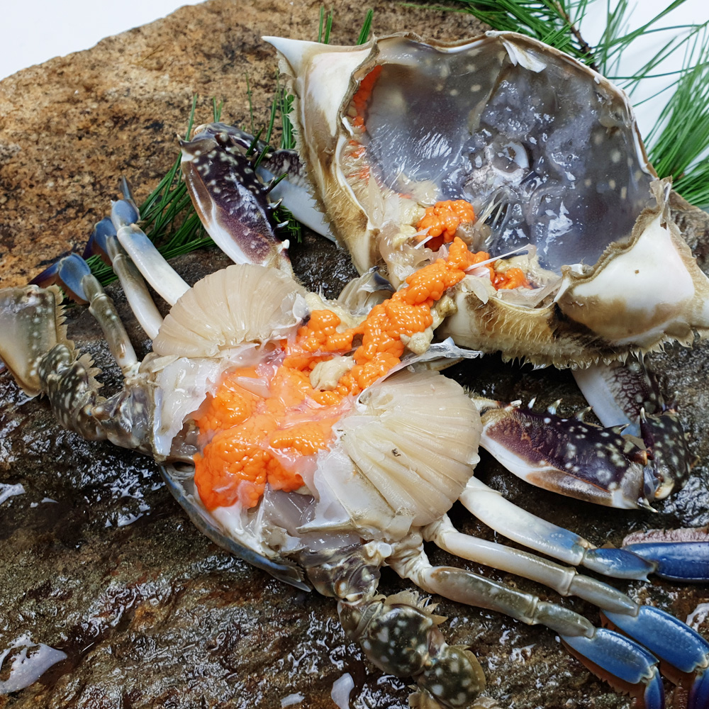 당일조업 제철 생물 봄 가을 꽃게 1kg 태안 알베기 암 숫꽃게 냉동 절단 : 장군농수산