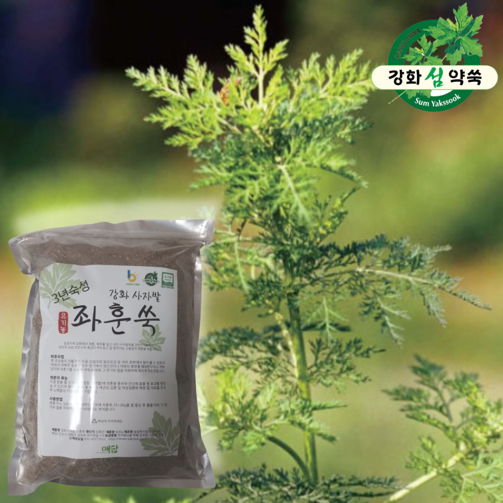 유기농 강화약쑥 좌훈쑥 600g 3년숙성 좌훈용쑥 좌욕쑥 : 늘품장터