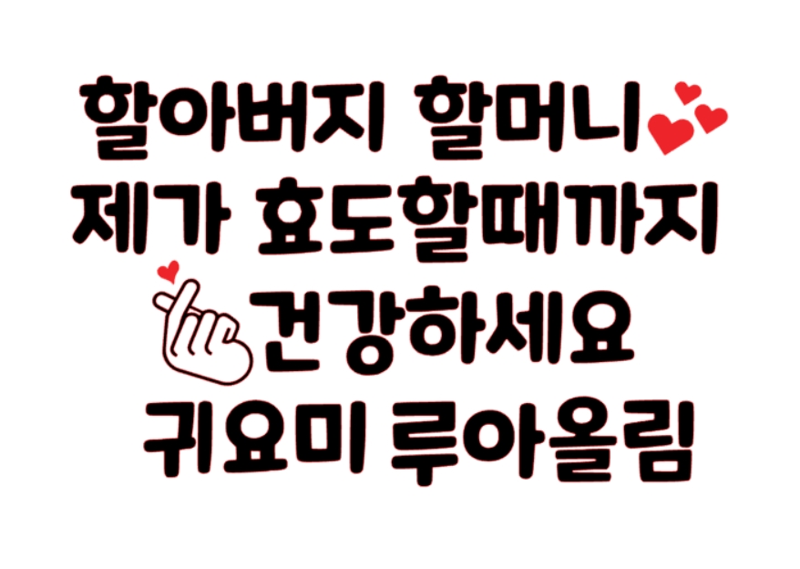 주문제작 스티커, 효도할때까지, 의류스티커 : 대박나라s