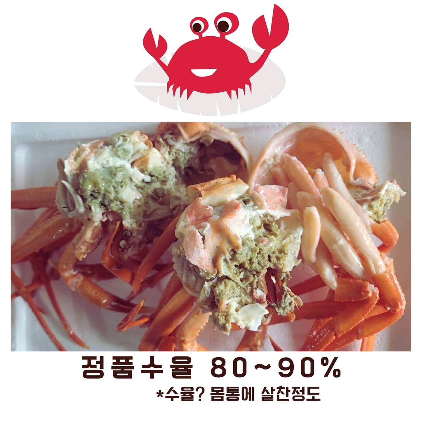 임자네상회 대게빵빵한 포항구룡포 연지홍게 다리수율80%이상 찜당일발송 선주직송 제철 저렴한가격 영덕박달2kg 4kg : 임자네 상회