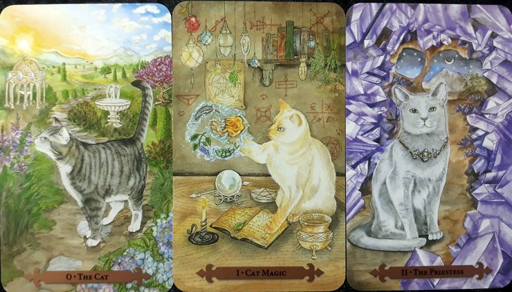 미스티컬 캣 타로카드 영문북세트 Mystical Cats Tarot 고양이 캣츠 : 아잉의 마법상점