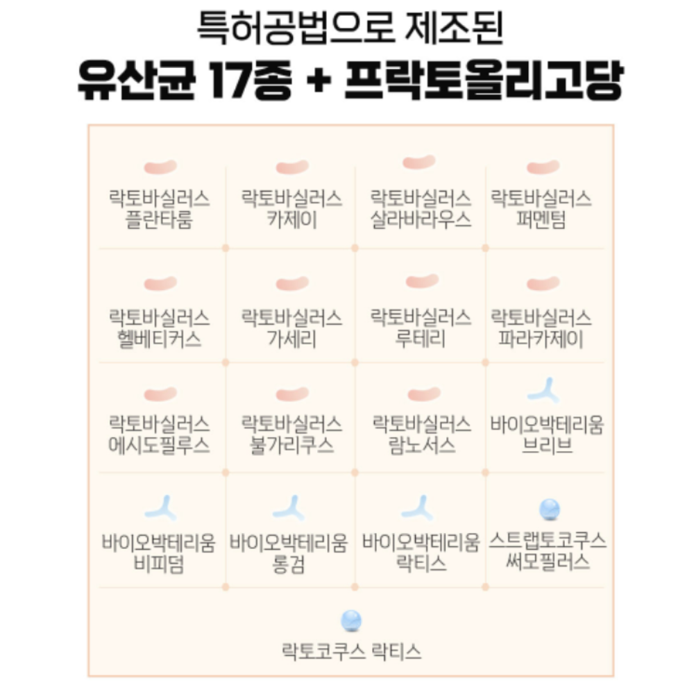 곡물발효 효소 역가수치 아밀라아제 유산균 소화 : 또또네마트