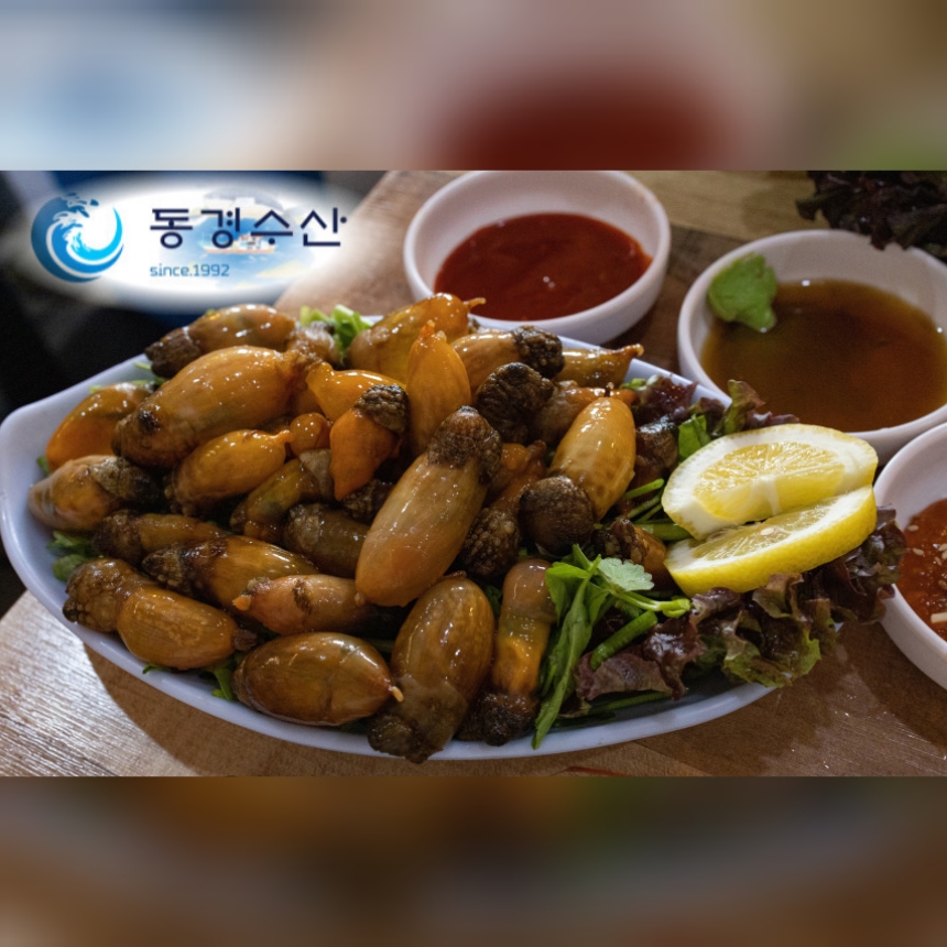 마산 진동 고현 참미더덕 1kg, 청정해역 남해안 : 동경수산