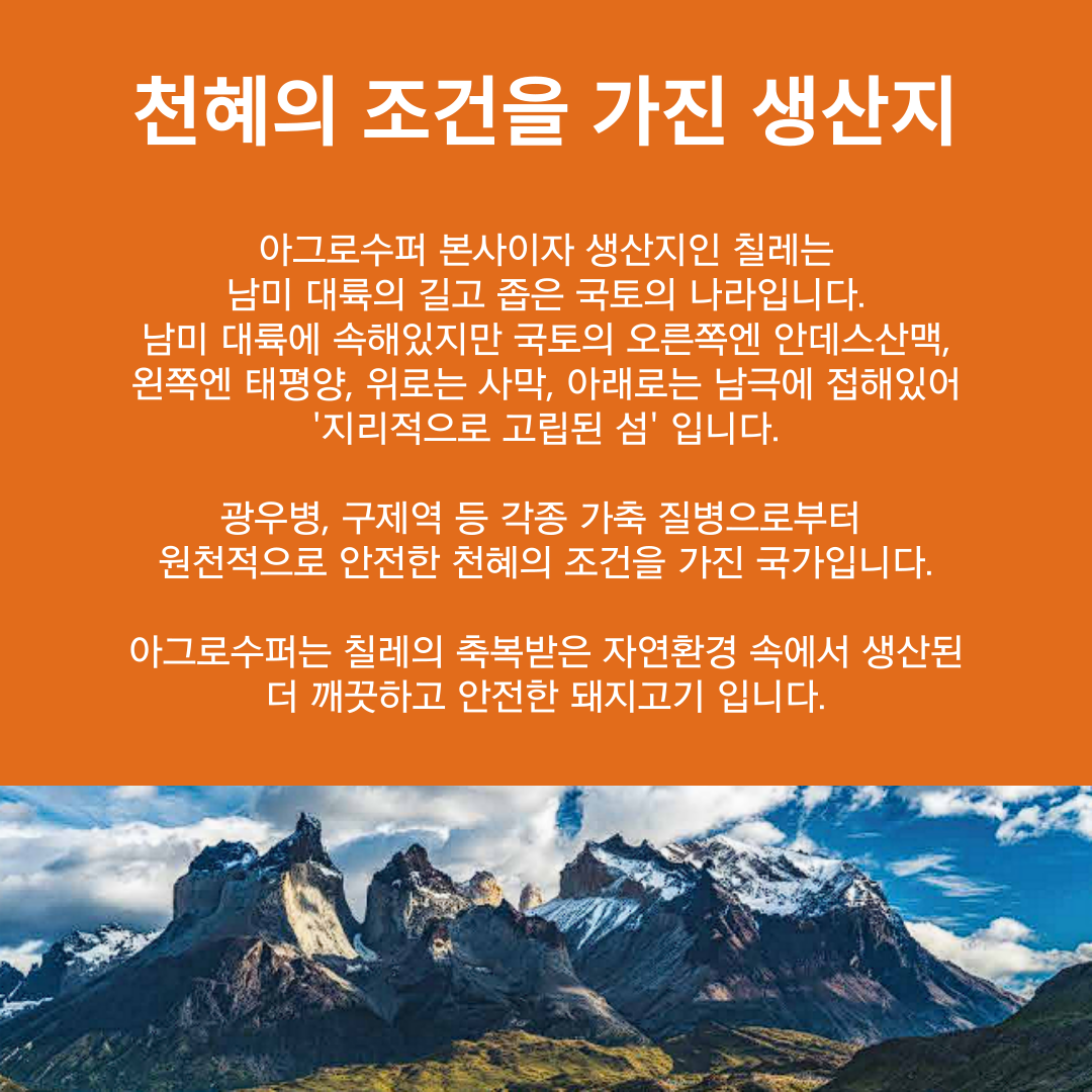아그로수퍼 냉동 삼겹살 칠레산 독일산 1Kg : 바로 사자