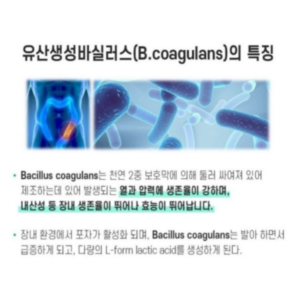 모유유래유산균 bnr17 락토바실러스 가세리 프롤린 lgg 코유산균 : 또또네마트