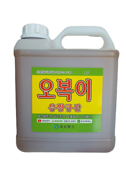 오복이 5L 침투성 유황규산 항공방제 가능 살균 도복방지 병충해예방 유기농 농자재  노즐막힘없음 : 상현농자재