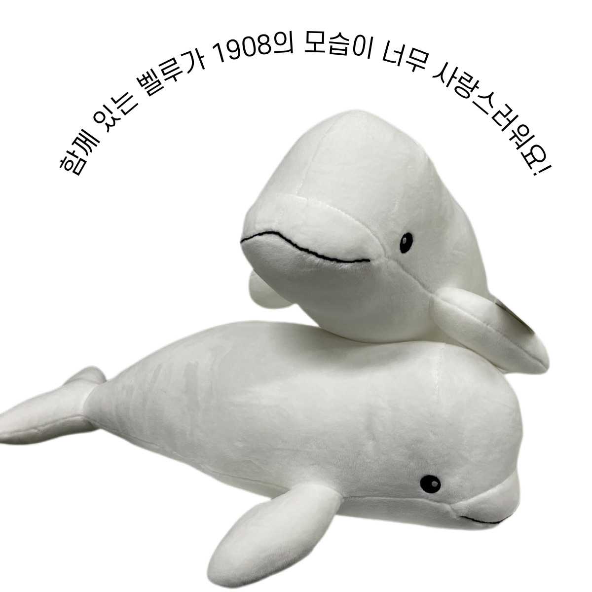 거제씨월드 벨루가 1908 : 세븐씨스 코리아