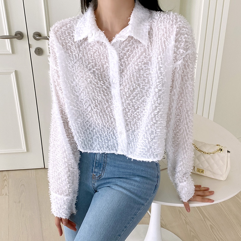 시스루 스텐카라 긴팔 크롭 여자 셔츠 럭셔리 하늘하늘 숄사 씨스루 블라우스 : 치콘