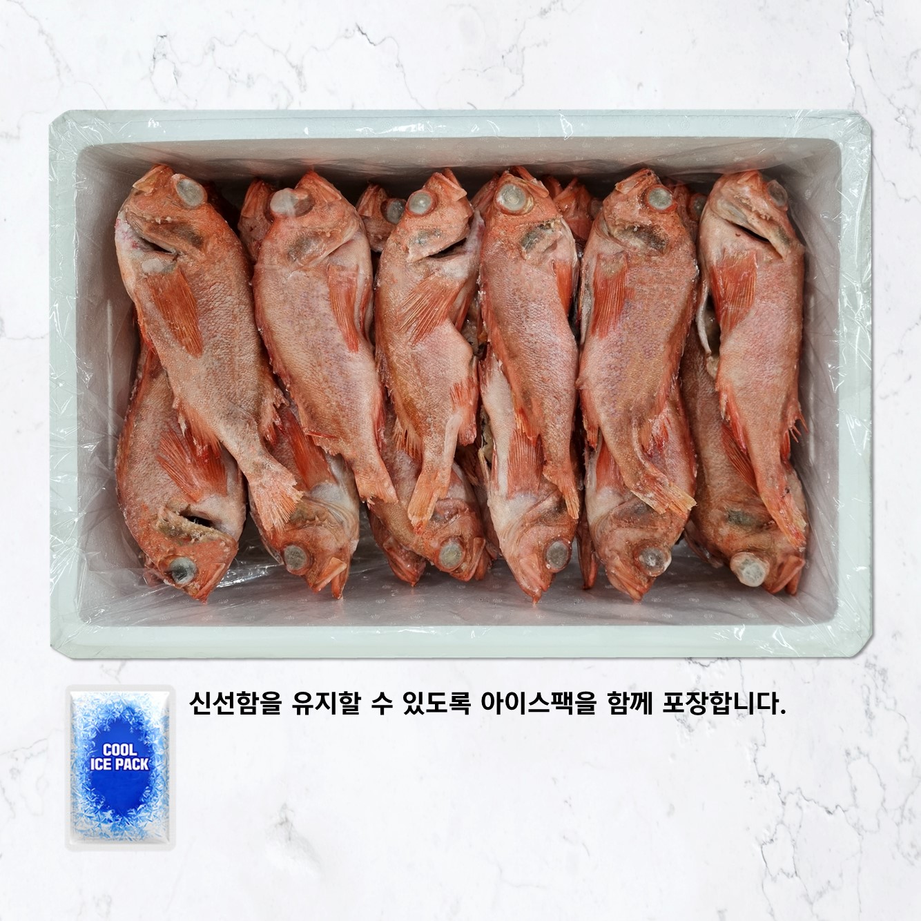 손질 대서양 붉은뽈락 (장문뽈락) (중, 65마리) : 소우푸드