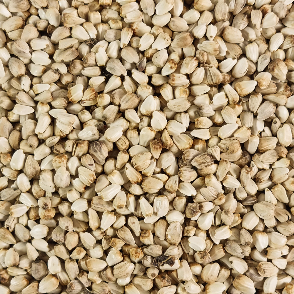 국산 홍화씨 홍아씨 250g : 오허브 마트